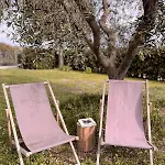 Apartament Casa Bozzo, 'lumina' *