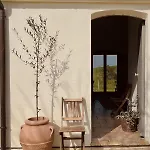 Casa Bozzo, 'lumina'
