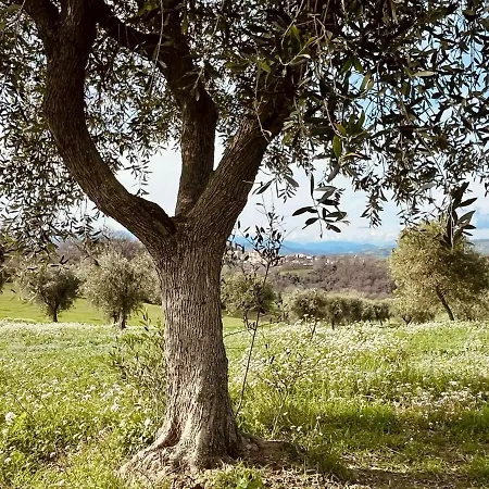 Apartamento Casa Bozzo, 'lumina' Case Selva Grande