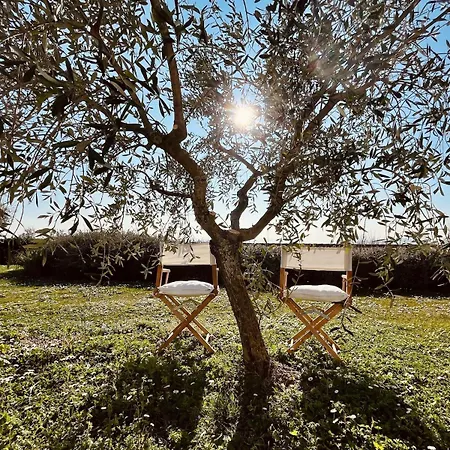 Casa Bozzo, 'lumina'